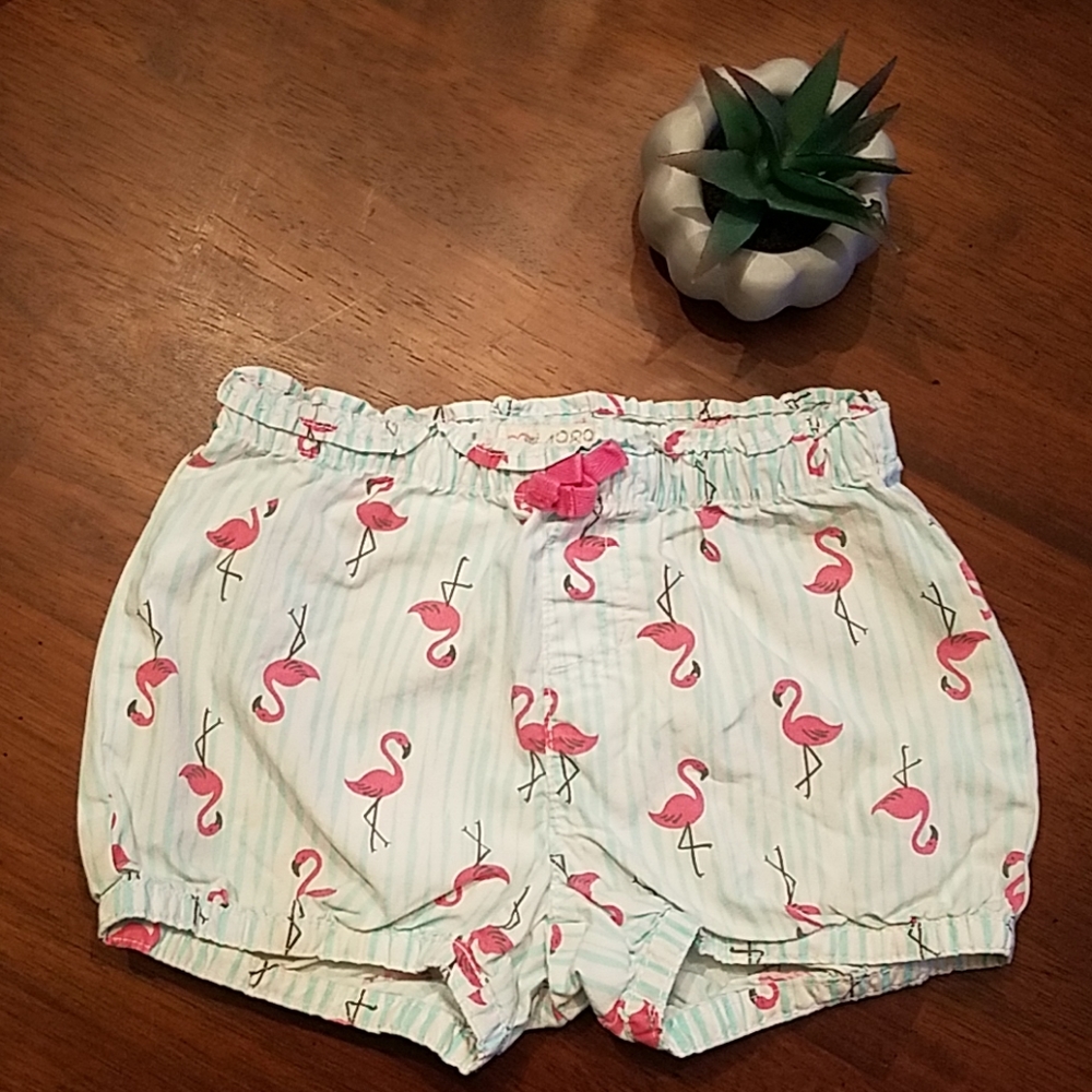 Flamingo shorts